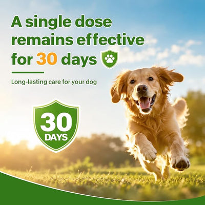 Flea and Tick Prevention for Small Medium Dogs, Waterproof Topical Dog Flea and Tick Fast-Acting at Home, 6 Doses Control for Dogs 5-43 lbs