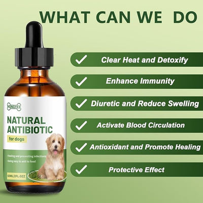 Dog Antibiotics for Infections, Cough, & Itching | Natural Antibiotics for Dogs for All Ages to Promote Wound Healing | Dog UTI Treatment and Tooth Infection Treatment | Chicken Flavor | 2 Oz