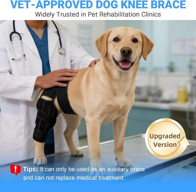 Dog Knee Brace for Back Leg, Adjustable Elbow Braces with Stabilizers, Canine Joint Support for Torn ACL, Luxating Patella, Arthritis, Ligament Injury and Post-Surgery Recovery, Universal (M)