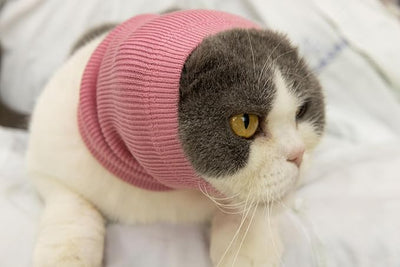 Soothing Cat Head Cover,Cat Ear Wrap Hematoma Compression Cats-Anxiety & Stress Relief - Ear Wrap for Cats Pink S
