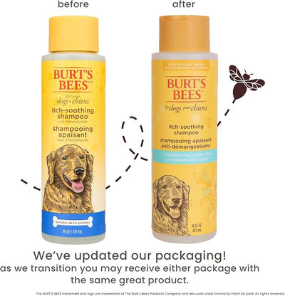Burt's Bees for Pets Itch Soothing Shampoo with Honeysuckle, 95% Natural Origin, Dog Shampoo for Itchy Skin Relief, pH Balanced, Free of Sulfates and Parabens, 16 Fl Oz