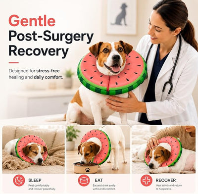 MIDOG Soft Inflatable Dog Cone, Donut E-Collar Alternative for After Surgery, Prevents Licking, Allowing Normal Eating & Vision, Comfortable Recovery Collar for Small Medium Large Dogs & Cats, Red-M