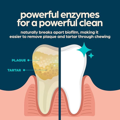 Chewsday Fresh Mint Flavor Dental Chews, Extra Small Dog Treats, Healthier Teeth and Fresher Breath, Enzyme Powered for Advanced Cleaning, Made in the USA, 24 Count