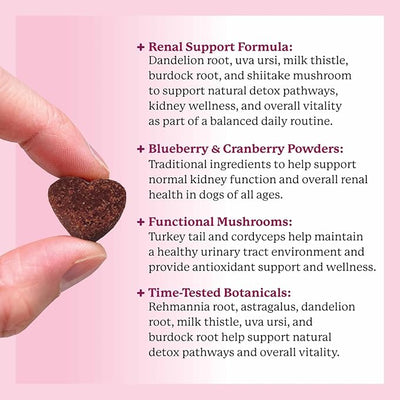 Dr. Harvey’s Kidney Support Soft Chews for Dogs, Renal & Urinary Tract Health Supplement with Turkey Tail Mushroom, 90 Chews