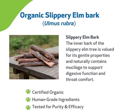 Pet Wellbeing Slippery Elm for Dogs - Vet-Formulated Dual Digestive & Throat Support - Organic Single Herb Extract - Holistic Soothing Dog Supplement - Liquid Formula 2 oz (59ml)