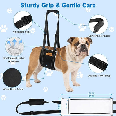 Vivifying Dog Lift Harness for Medium Dogs, Soft Bird's-Eye Cloth Hind Leg Support Sling, Adjustable Dog Lifting Harness for Weak Rear Legs, ACL Surgery Mobility Assist, M, White