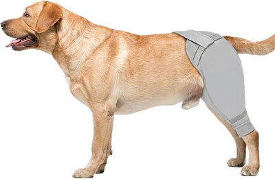 Dog Rear Leg Sleeve to Stop Licking, Upgraded Hind Leg Cover to Stop Slipping, for TPLO Surgery, Skin Conditions, Wounds, Breathable Soft Fabric, Dog Cone Alternative, Left,S,Light Grey