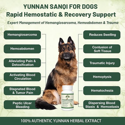 yu nan Capsules for Dogs – Natural Herbal Quick Stop Bleeding & Blood Support for Hemangiosarcoma, Hemoabdomen, Pericardial Effusion, Cancer Bleeding, Ulcers & Bloody Stools– 90 Capsules