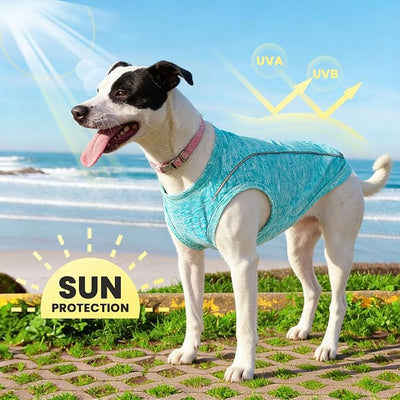 PETCARE Sun Protection Dog Shirts for Medium Dogs Quick Dry Soft Stretchy Dog T-Shirts with Reflective Label Tank Top Sleeveless Vest Pet Clothes, Athletic Fabric, Blue, XXL (Chest 26" Length 19.7")