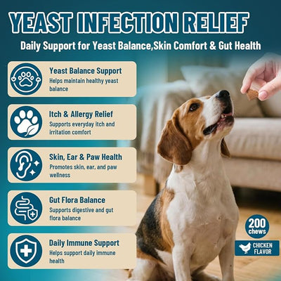 VICSOM Yeast Infection Treatment for Dogs, 200 Soft Chews Natural Anti Yeast Support Itchy Skin Paw Licking Ear Odor Allergy Relief for Dogs, Caprylic Acid + Probiotics, Chicken Flavor All Breeds