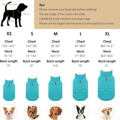 Dog Winter Coat for Small Dogs, Puppy Solid Jacket, Pet Warm Coat for Cold Weather, Windproof Pets Thickened Outfits Garments Indoor Outdoor, Blue XS