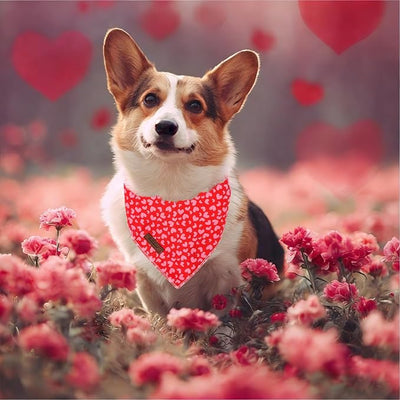 Valentine's Day Dog Bandanas Boy Girl Red Pink Love Cotton Washable Dog Scarf Adjustable Pet Bib Scarves for Small Medium Large Dogs S