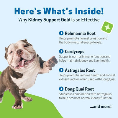 Pet Wellbeing Kidney Support Gold for Dogs - Supports Healthy Kidney Function, Fluid Balance, Energy Levels, Rehmannia, Dong Quai - Veterinarian-Formulated Herbal Supplement 4 oz (118 ml)