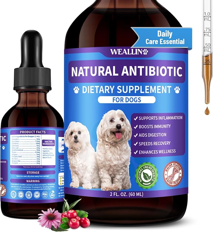 Dog Antibiotics Support - Natural Antibiotics Care for Dogs Herbal Supplement for Cough Allergy Itch Relief Immune Support Dog UTI Comfort for All Breeds & Ages - 60 ml/2 Fl Oz Bacon Flavor