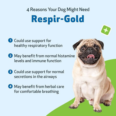 Pet Wellbeing Respir-Gold for Dogs - NASC Certified & Vet-Formulated Liquid Lower Respiratory & Lung Supplement with Black Cumin & Boswellia for Allergic Airway & Breathing, Natural Bacon Flavor, 4 oz
