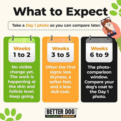 Better Dog Supplements by Cesar Millan® Skin Magic–Herbal Skin and Coat Supplement for Dogs–Skin Comfort and Coat Defense for Dogs, Normal Response to Seasonal Irritants–4oz, 60-Day Supply