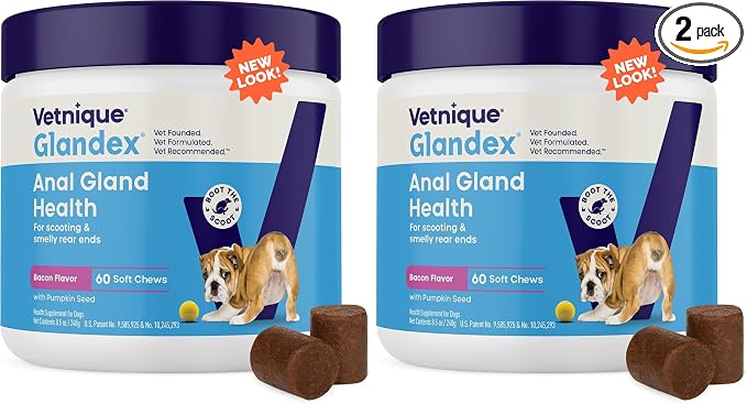 Vetnique Glandex Anal Gland Soft Chew Treats with Pumpkin for Dogs Digestive Enzymes, Probiotics Fiber Supplement for Dogs Boot The Scoot (Bacon Flavor Chews, 60 Count) (Pack of 2)