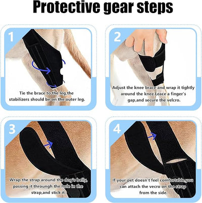 Dog Knee Brace for Torn ACL/CCL & Hind Leg Support - Adjustable Brace for Arthritis Relief, Joint Stability & Injury Recovery - Fits Small & Medium Dogs