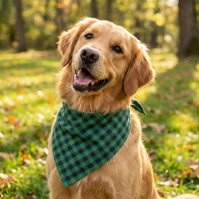 Cotton Linen Dog Bandanas 1 Pack, Plaid Checkered Bandana for Large Dogs, Soft Breathable Classic Dog Apparel & Accessories (Green Plaid, Large)