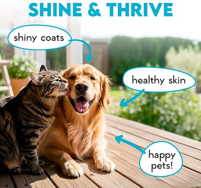 Omega 3 Chews for Dogs - 150Pcs - Dog Skin and Coat Supplement - Rich in EPA & DHA Fatty Acids - Itching Skin Relief Chews - Reduce Hair Shedding - Made with Fish Oil - Chicken