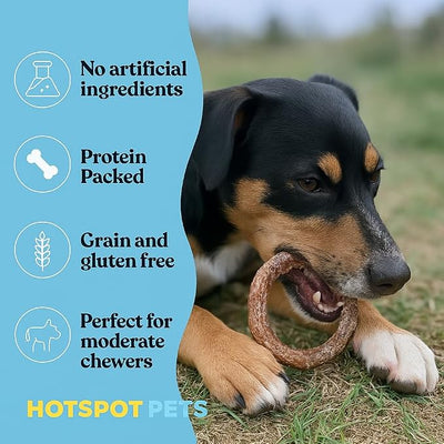 hotspot pets Bully Stick Rings for Dogs - (20 Pack) 4" Premium All Natural Long Lasting Twisted Beef Pizzle Dog Chew Treats, Low Odor - Grain Free Fully Digestible Rawhide Alternative - Thick Circles