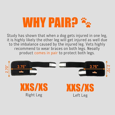 NeoAlly - 3-in-1 Dog Splint Front Leg Support, Front Leg Brace with Rigid and Spring Inserts, Dog Leg Sleeve for Pet Mobility, Stability, & Protection, With Reflective Straps, XXS-XS, 1 Pair