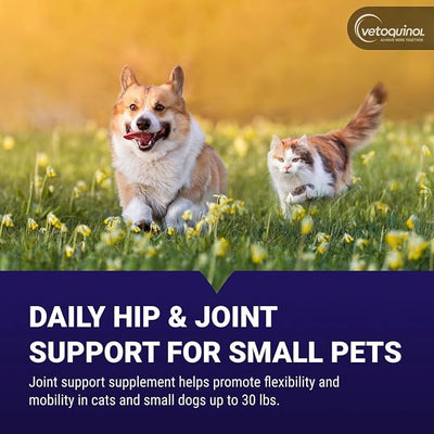 Vetoquinol Flexadin Plus - Hip & Joint Support for Cats & Small Dogs - Flexibility & Cartilage Support - Aids with Pet Mobility - Green-Lipped Mussel & Vitamin E - for Pets Up to 30 lbs - 90 Chews