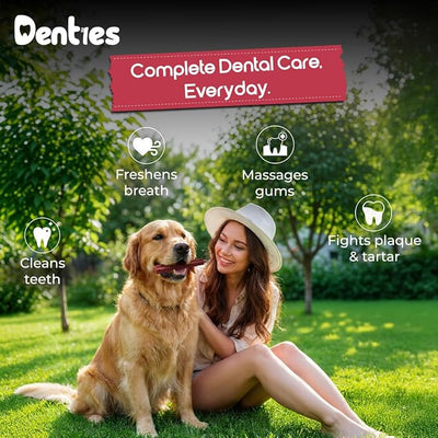 Dental Chews for Dog, Dental Sticks for Large Dogs (up to 75 lbs) – Vet-Recommended Teeth Cleaning Treats, Fresh Breath, Plaque & Tartar Control, Chicken & Beef – 16 oz, 22 Treats