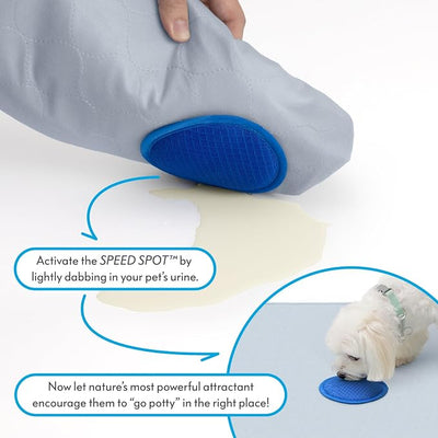 2ct Paw Inspired Speed Spot Go Here Potty Training Puppy Pads with Pop Up Urine Attractant Target | Washable, Reusable Dog Pee Pads with Pheromone Scent Patch for Housebreaking (36x36 Inch Size)