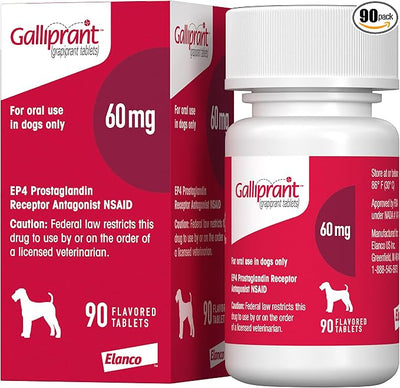 Galliprant Osteoarthritis Pain & Inflammation Control for Dogs | 60mg | 90 Flavored Tablets