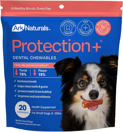 ARK NATURALS, Brushless Toothpaste Protection Plus Small, 12 Ounce