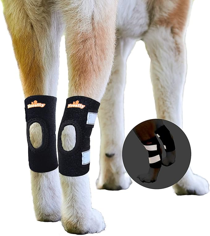 NeoAlly - Short Rear Leg Hock Brace, Dog Leg Brace for Rear Leg, Hock & Ankle Support, Dog Brace for Torn ACL & CCL, Dog Leg Sleeve with Reflective Straps, XL, Black, 1 Pair