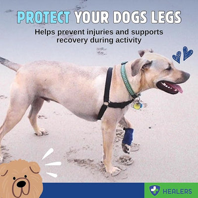 Healers PetCare Leg Wraps – Adjustable Dog Bandages with Gauze Inserts – Breathable Elastic Wrap for Wound Care & Joint Support – Non-Slip, Reusable, Machine Washable – Small 18-Inch, Blue