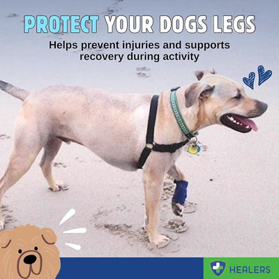 Healers PetCare Leg Wraps – Adjustable Dog Bandages with Gauze Inserts – Breathable Elastic Wrap for Wound Care & Joint Support – Non-Slip, Reusable, Machine Washable – Medium 24-Inch, Blue