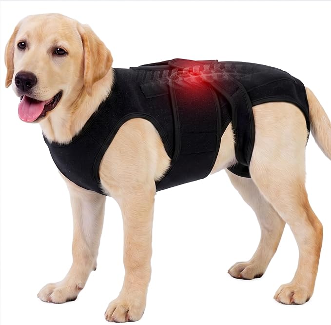 Dog Back Brace for IVDD Recovery, Adjustable Dog Spine Support Harness for Dachshund Corgi French Bulldog Pug, Pain Relief Back Protector for Senior,Post‑Surgery,Long‑Bodied & Overweight Dogs, XL