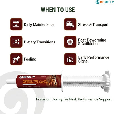 OL' NELLY Equine Probiotic Paste | Supports Equine Gut Health, Hindgut, Digestion, Immune Support, Energy, Coat & Hooves,12 Billion CFU Multi-Strain + Prebiotic, Vitamins & Minerals 80cc Syringe