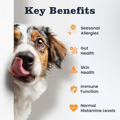 Dog Allergy Chews 200 Ct, Itch Relief for Dogs Immune Support Colostrum Probiotics & Omega 3 for Seasonal All Issues Allergies Skin & Coat, Itchy Skin & Paw Relief Bites, Made in USA Chicken Flavor