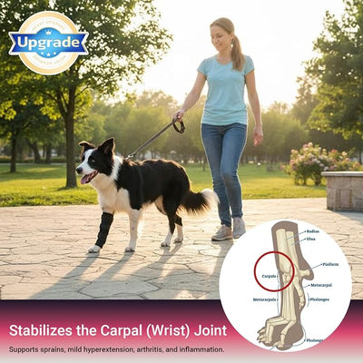 Long Front Leg Brace for Dogs – Anti-Lick Sleeve & Carpal/Wrist Support for Sprains, Arthritis, Wound Protection & Injury Recovery – Soft Adjustable Compression Wrap for Left or Right Front Leg Medium