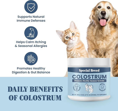 Bovine Colostrum for Dogs and Cats – Grass Fed Colostrum Powder – Immune Support, Allergy & Itch Relief – Gut Health & Seasonal Allergy Defense – 150 ct