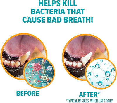 Arm & Hammer for Pets Fresh Breath Enzymatic Dog Toothpaste Vanilla Ginger Flavor Baking Soda Dental Gel Eliminates Bad Breath Safe Puppies Adult Dogs Daily Use 2.5 OZ 2 Pack Dogs and Puppies