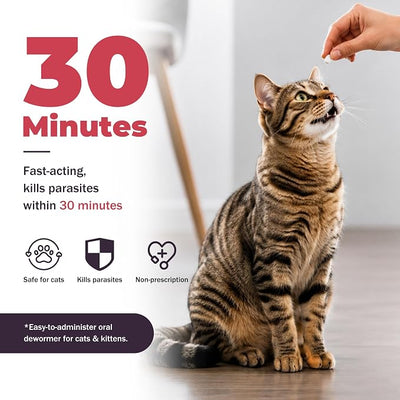 Broad-Spectrum Dewormer for Cats & Dogs | Praziquantel + Pyrantel Pamoate | Controls Tapeworms, Roundworms & Hookworms | 12 Flavored Tablets