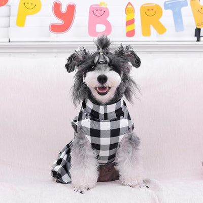 CuteBone Turtleneck Dog Velvet Dress Puppy Skirt Costume Pet Clothes Cat Apparel with Bow Hair Rope for Small Dogs CVD14S