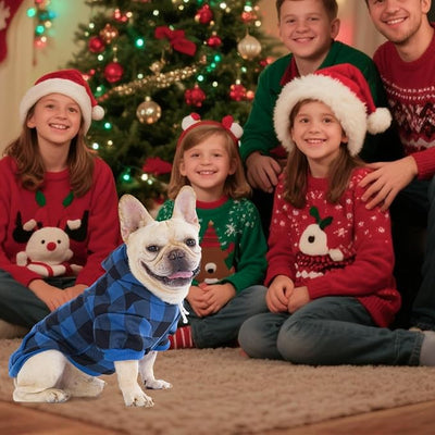 KOOLTAIL Plaid Dog Hoodie Pet Clothes Sweaters with Hat