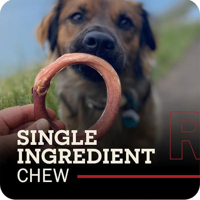 Redbarn Pet Products All-Natural 4" Bully Stick Rings for Dogs - Premium Grain-Free & Rawhide-Free Single Ingredient Long Lasting Low Odor Dental Treat for Chewers - 3 Count (Pack of 2)