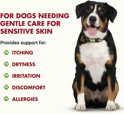 LIQUID-VET K9 Itch & Allergy Advanced Formula, Bacon Flavor, 32 oz