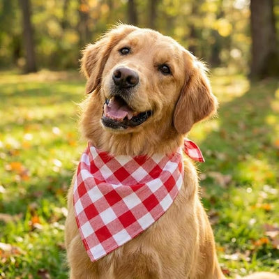 Cotton Linen Dog Bandanas 1 Pack, Plaid Checkered Bandana for Large Dogs, Soft Breathable Classic Dog Apparel & Accessories (Red Gingham, Large)