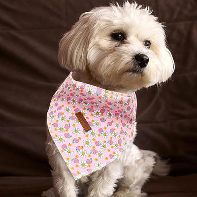 Lionheart Pink Strawberries Print Dog Bandana, Soft Washable Scarf for Medium Large Dogs