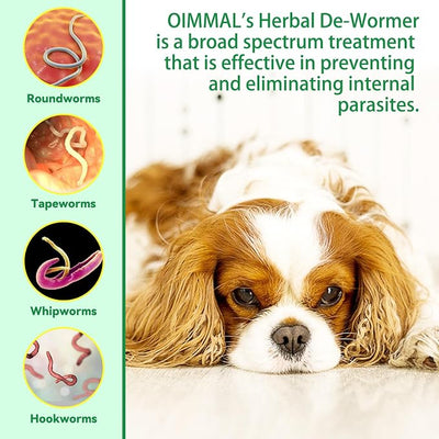 Specifically Formulated for Dogs, Dogs Broad Spectrum Supports, Naturally Sourced Ingredients, Gut Health, Easy-to-Absorb, Probiotics Supplement Drops for All Ages and Breeds