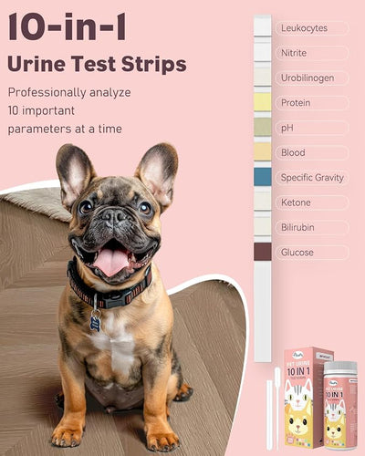 Pawfly Urine Test Strips for Dogs & Cats, 100 Strips, Pet Urine Testing Strips for 10 Parameters, UTI Test Strips, Veterinary Urinalysis Test Strips for Leukocytes, Protein, Ketone, Glucose, pH & More