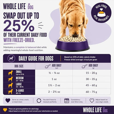 Whole Life Dog Just One Salmon Freeze Dried Dog Treats - Human Grade High Protein Food, Healthy Training Snacks, Freeze Dried Salmon Food Toppers, USA Made Natural Treats - 8 oz (Value Pack of 1)
